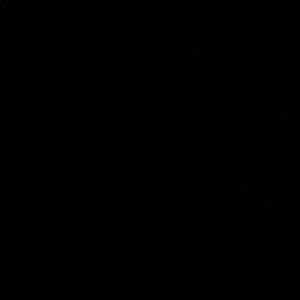 Meet your Posher, Riley